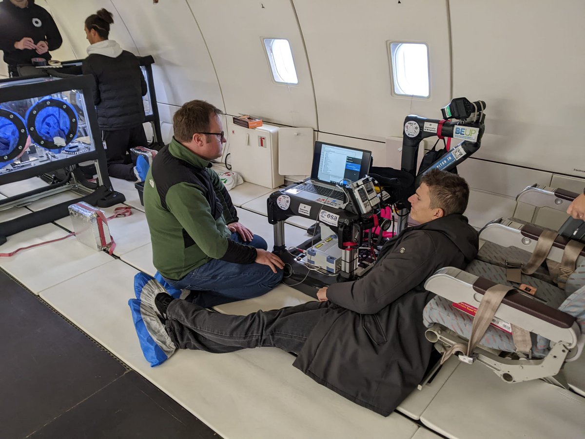 Gell-p Project tweet media