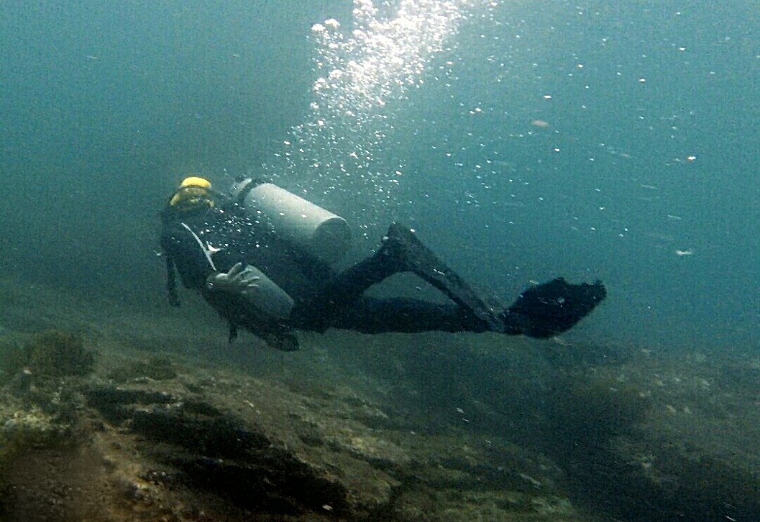 AbogadoFeroz's tweet photo. De pequeño siempre soñé con aprender a volar... Un día aprendí a bucear y descubrí que el mar es el cielo que necesito 🤿👍🏽 #BuceoEcuador #FunDiving #Ecuador #AdvancedOpenWaterDiver #DivingEcuador #BuceoDeportivo https://t.co/dz86bR27pZ