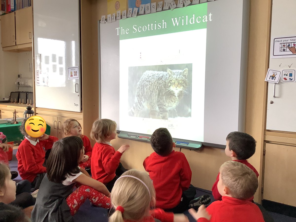 St Andrews RC Primary tweet media