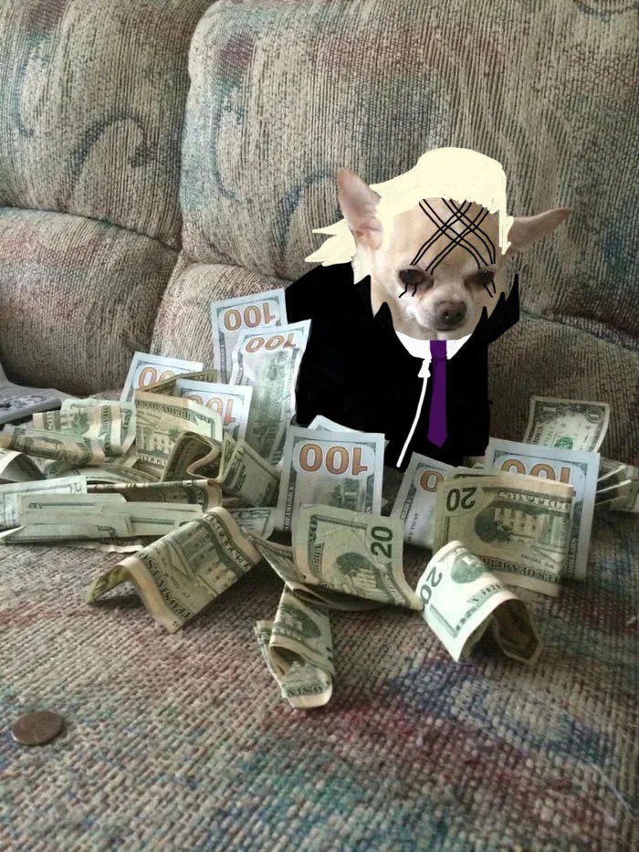 Все белые чихуахуа достойны перерисовки в Ксено