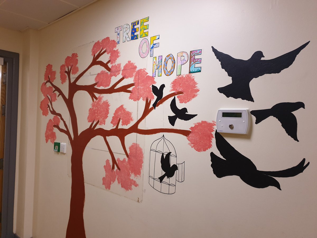 Ladies on Norbury ward have been busy painting their tree of hope, ready for positive messages to each other when they're discharged from the ward to inspire each other to do well ❣️ They've enjoyed being involved and stated that it's lovely and bright to see on the ward