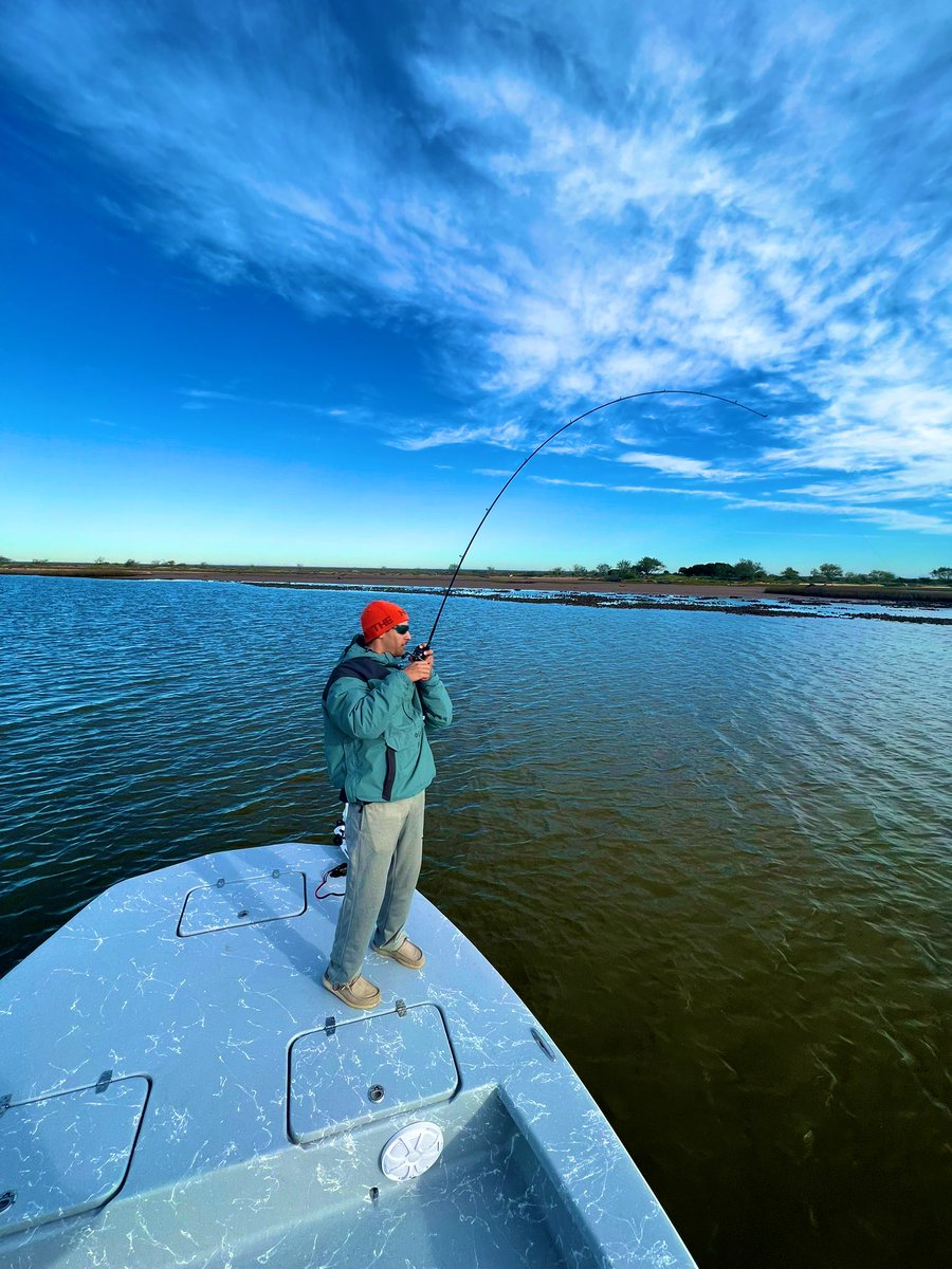 early bird gets the worm