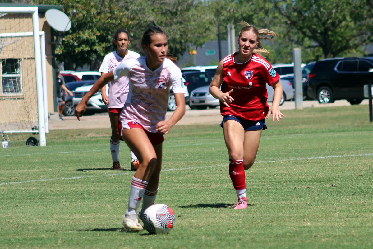 Guilherme Torres tweet media