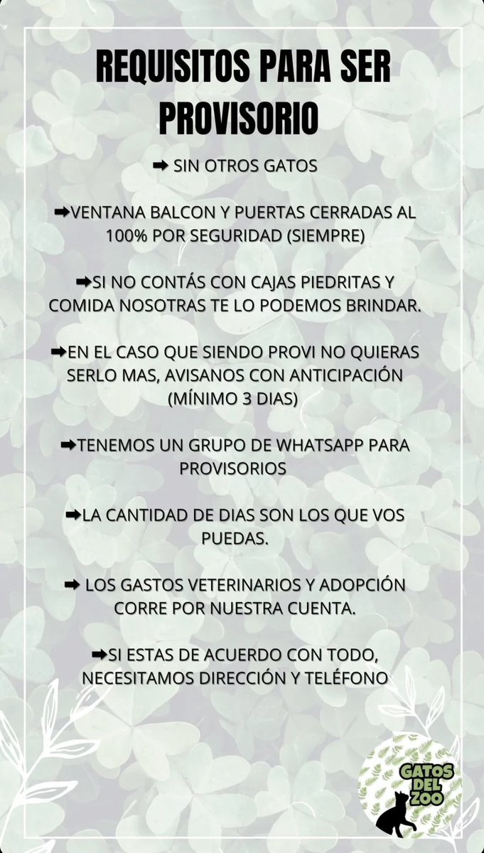 Lubianchi20's tweet photo. Búsqueda especial de Provisorios ♥️

Nuestros provis actuales se van para las vacaciones y necesita hogar temporal para ellos 👇🏻

Si te interesa ayuda a cuidar uno de nuestros rescatados comunícate con @Gatosdelzoo 

Info 👇🏻 @VivireNuevaCba @NvaCbaNoticias @NuevaCbaVENDE https://t.co/rMaBG6y1bD