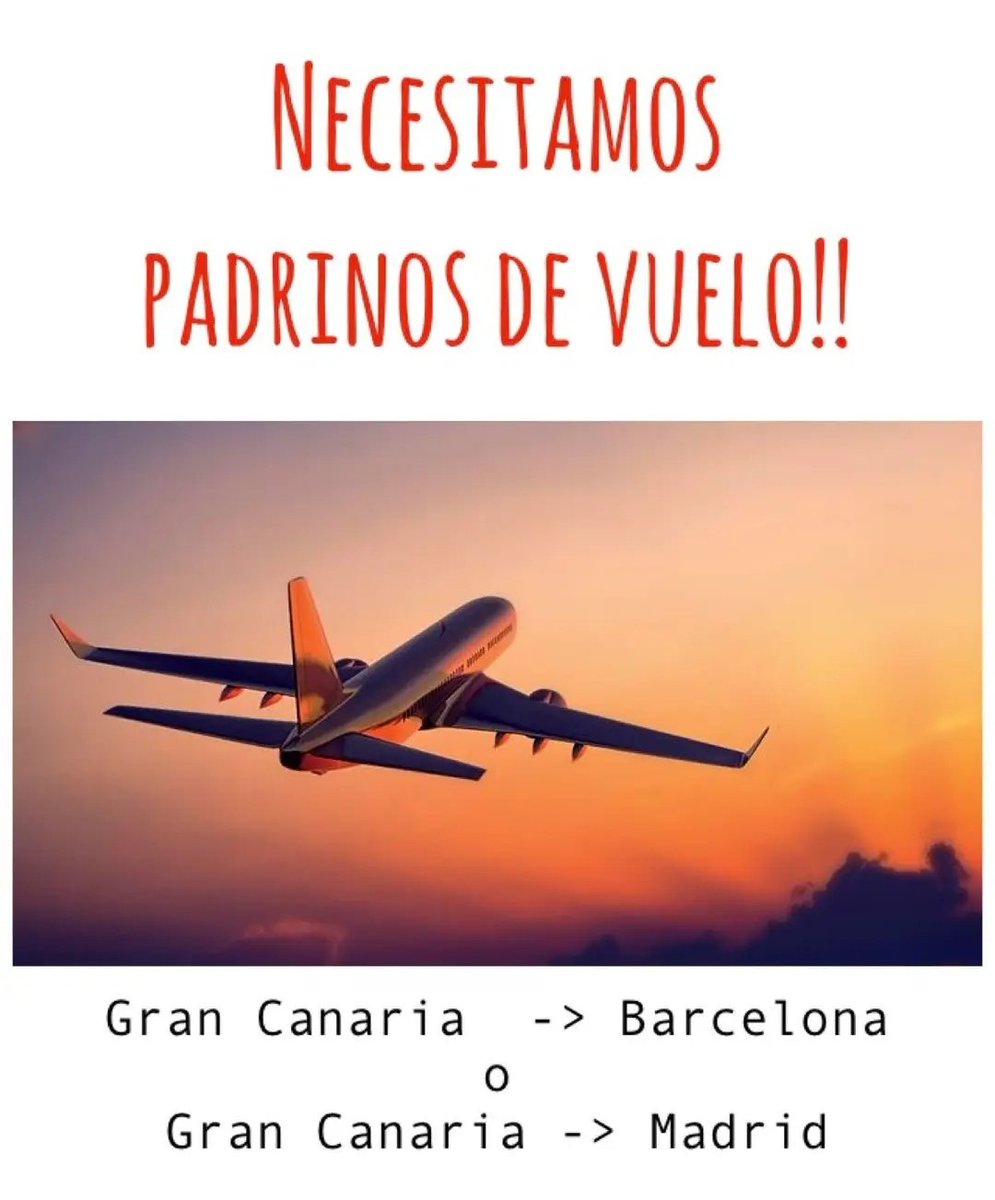🛫Estamos en una misión para llevar a una perrita pequeña desde Gran Canaria a su hogar definitivo en Madrid o Barcelona y ¡necesitamos tu ayuda!🛬
¿Te gustaría ser el padrino de vuelo de esta peluda? Si haces uno de estos trayectos contáctanos. ¡No te costará ni un euro!