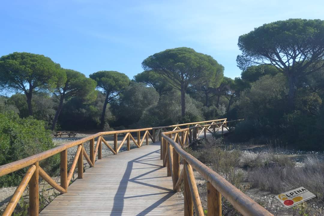 ALPINA_eotl's tweet image. Excursión con alumnos de un centro escolar de primaria.

☎️ Información: 607 781 916.

#excursionesescolares #colegios #senderismo #LosToruños #valdelagrana #elpuertodesantamaria #excursion #ociocadiz #cadiz #senderismocadiz @TurismoElPuerto @CadizTurismo @TurismoJerez