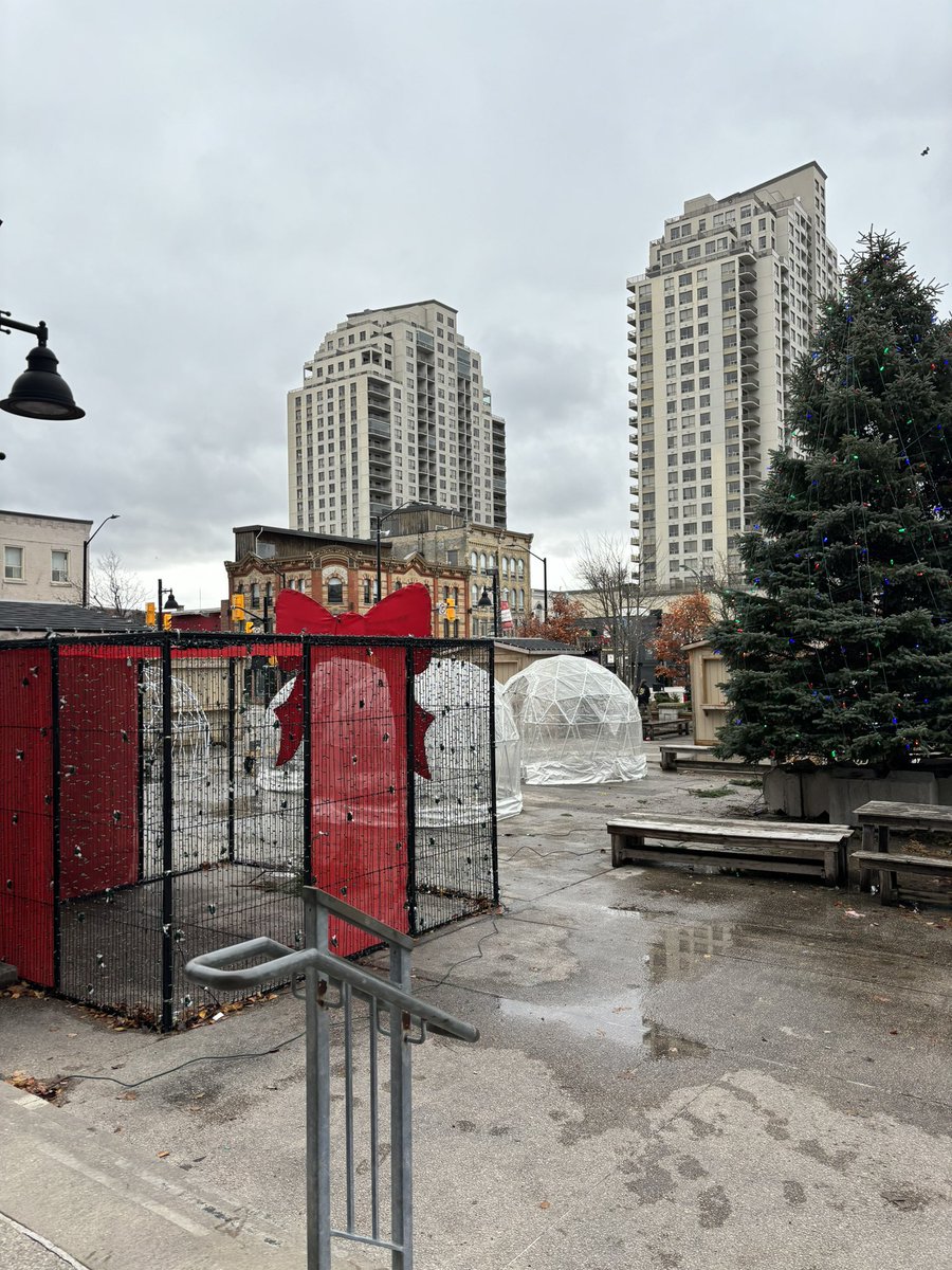 Barb Maly tweet media