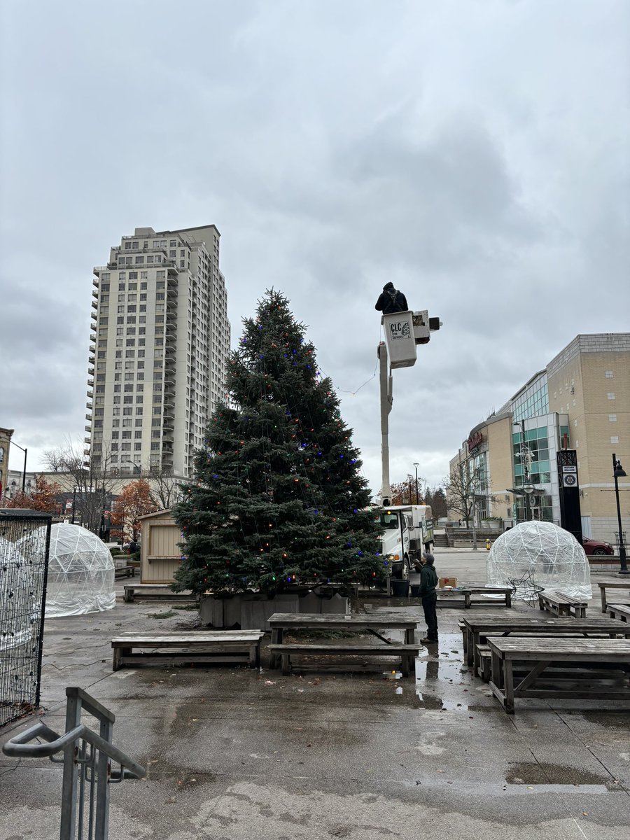 Barb Maly tweet media