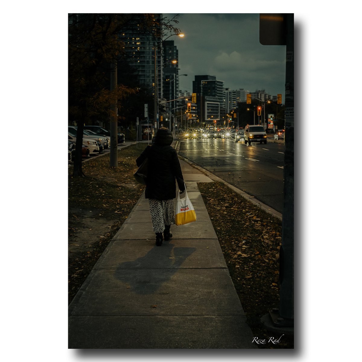Walking around the neighbourhood! . . #StreetPhotography #Fujifilm #Toronto #UrbanPhotography