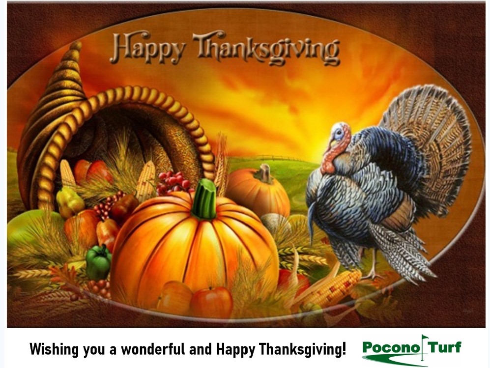 Lots to be thankful for - Happy Thanksgiving to you and yours.