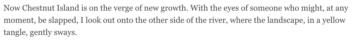 Michael Joseph Walsh tweet media