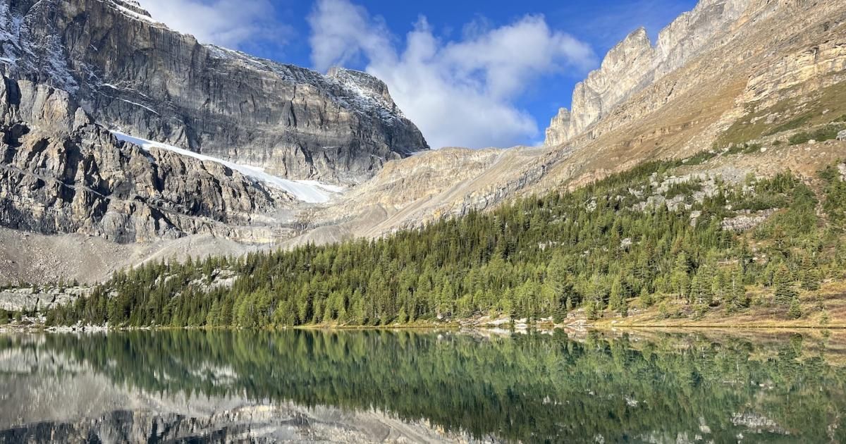 Lee_Chin_Inst's tweet image. Understanding the new nature and biodiversity frameworks for companies buff.ly/3FHPIir Leads of the new mechanisms for evaluating nature impacts and setting targets break down the differences between them and why your company needs both.