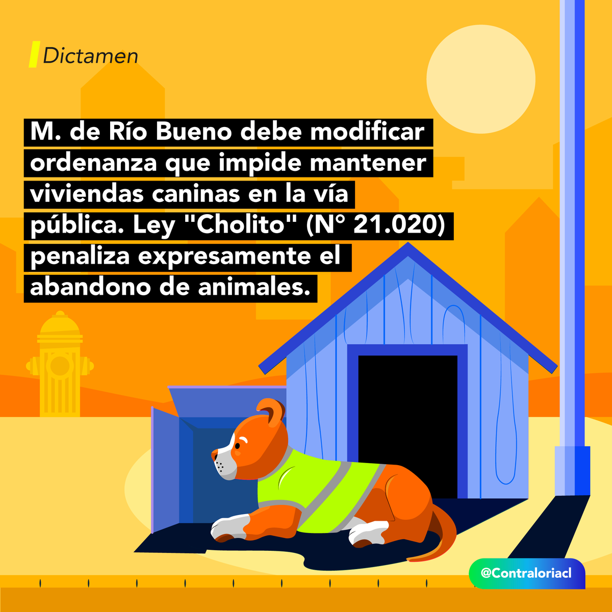 Hemos dictaminado que los municipios deben apegarse a la Ley Cholito, que permite a ciudadanos dar cuidados básicos a animales abandonados. Así, SÍ ✅ corresponde que se desarrollen iniciativas como la instalación de casitas comunitarias para ofrecer refugio 😍🐶😽