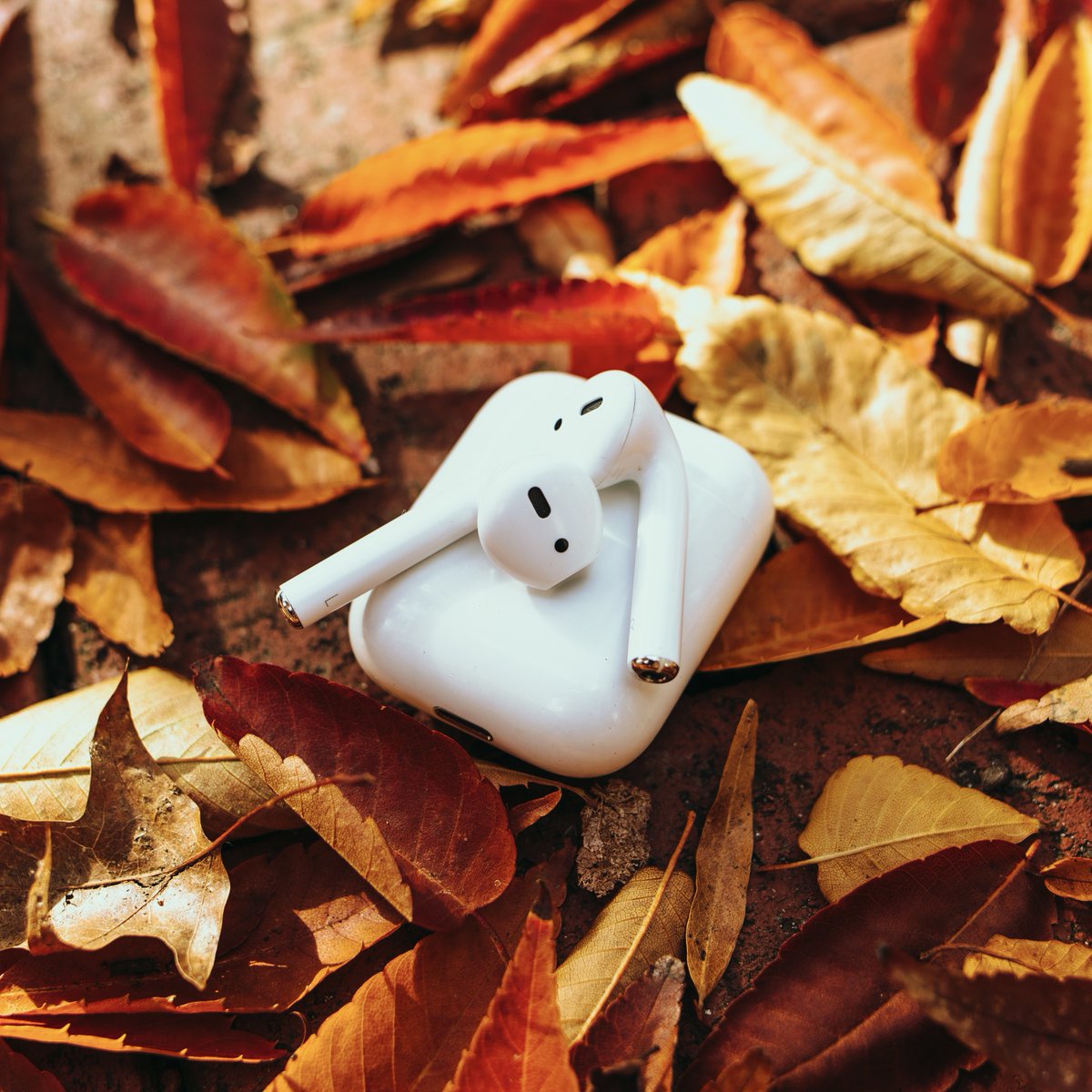 It's Faculty/Staff Appreciation Week! 🎉Eligible f/s can purchase tech for 0% down with payroll deduction, plus save on:

 Over $50 off select select AirPods
 Over $200 off select MacBooks
 $50 off Apple Watch Series 8
&amp; more!

Shop in-store between Nov 27- Dec 1! 🖤💛#VCU