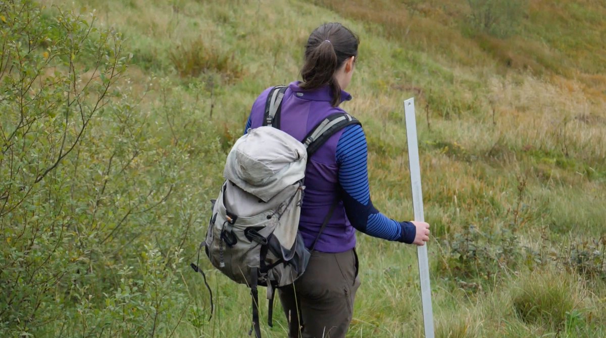 I got a fascinating glimpse into the world of <a href="/MontaneWoodland/">Mountain Woodland Action Group</a> and the research of <a href="/Watts_SH/">Sarah Watts</a> when filming with her on the strikingly wooded slopes of <a href="/N_T_S/">National Trust for Scotland</a> #NTSBenLawers.  She has been shortlisted for the <a href="/NatureofScot/">Nature of Scotland Awards</a> Conservation Science Award. See: vimeo.com/user211473889