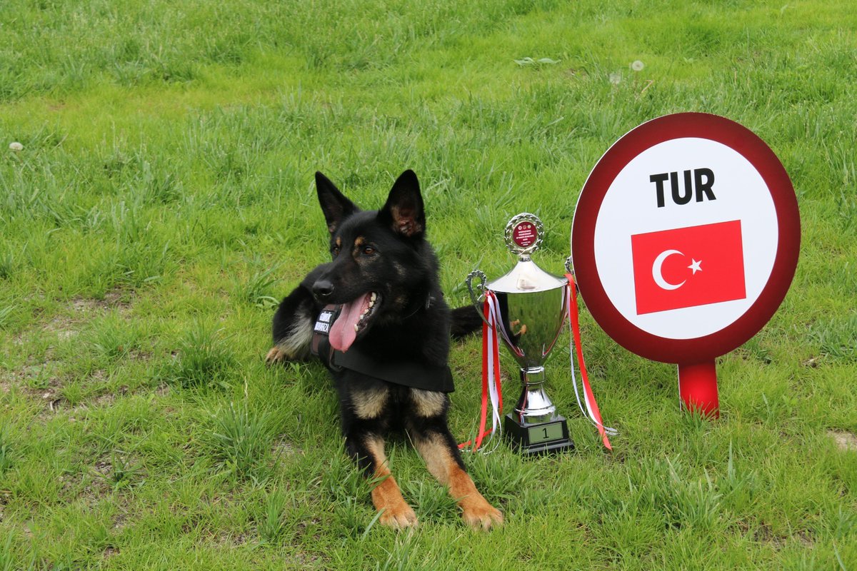 🐾🏆 The <a href="/ticaret/">T.C. Ticaret Bakanlığı</a>'s Dog Training Centre won the International Detector Dog Competition 2023, underscoring the excellence of their training methods!

The centre received capacity building support through our "Improvement of Customs Enforcement Capacity" Project.