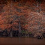 Photo by PhotoLongviewTX (@MobileLearn)