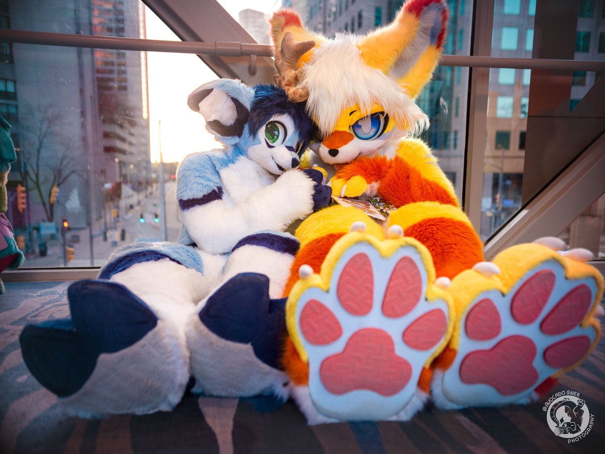 AvocadoSnek's tweet photo. Photographers in the fandom,
📸 show off your favorite photos this year! 📸

With the year almost ending, what were some of your favorite photos and most memorable photoshoots you've done? Show off your portfolio! https://t.co/uORigbJa5s