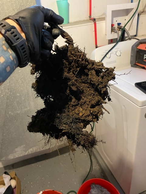 SewerCleaningCo's tweet photo. Roots causing chaos in your pipes? Sewer Cleaning Company is on the case! Say goodbye to clogs and plumbing problems, we're here to restore the flow! 440-290-6055 #piperepair #rootremoval #dirtyjobs #wecanfixit #excellentservice #cloggedpipe #brokenpipe #backup https://t.co/0XavwETaba