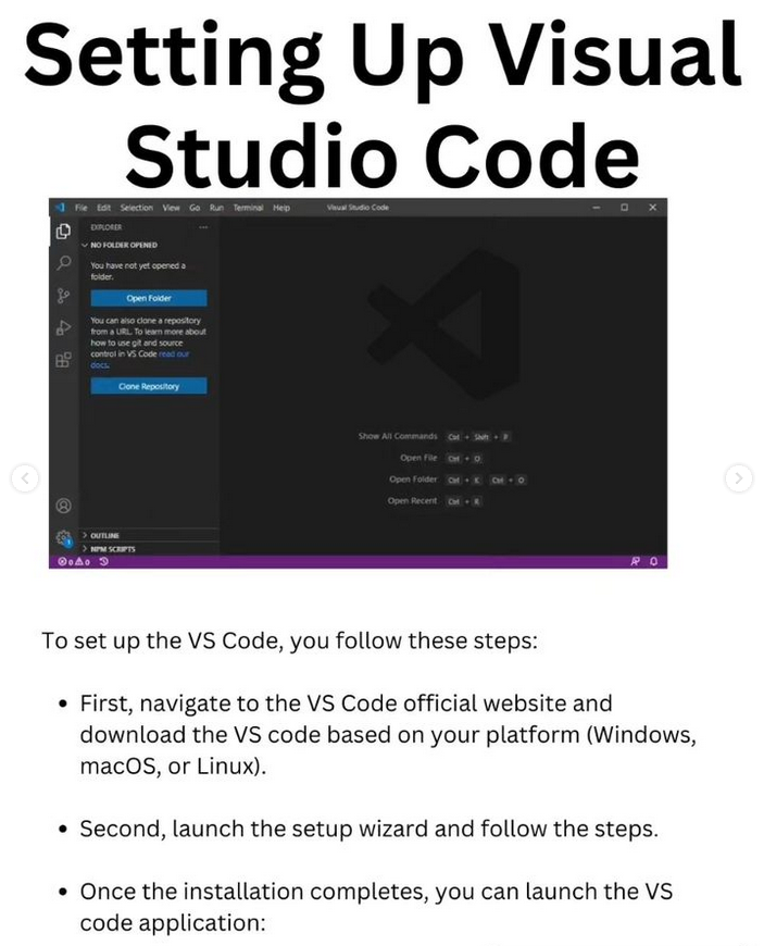 Python Developer tweet media