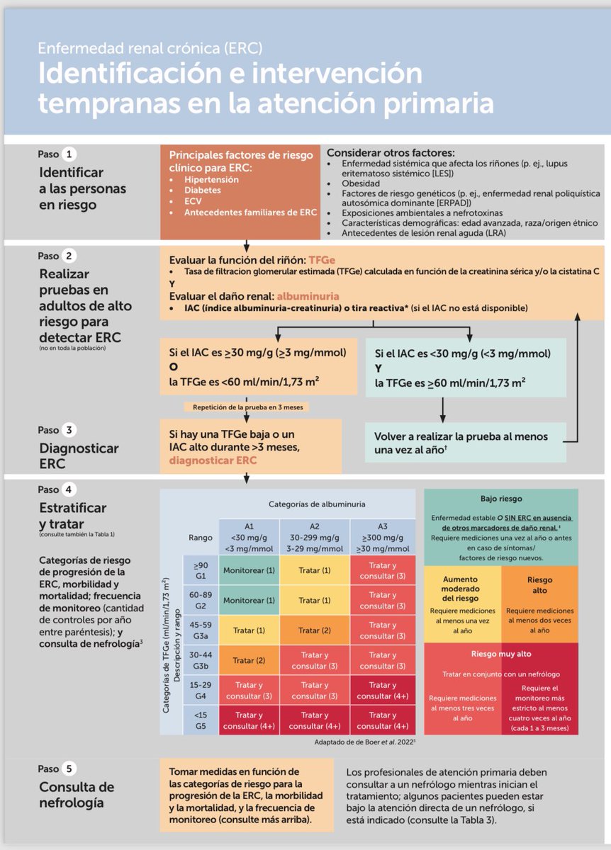 elba_vanessa's tweet photo. Hola hola 👋🏽 

Me encantó esta Infografía y quise compartirla con uds !

Como indentificar la Enfermedad Renal Crónica  y su intervención oportuna 🫶🏼

https://t.co/MXETxGjrmE https://t.co/YIRInxsnlW