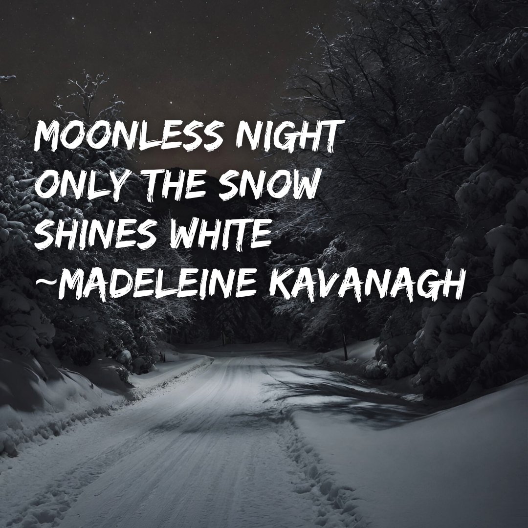 moonless night
only the snow
shines white
-Madeleine Kavanagh

This wonderful haiku by Madeleine Kavanagh was written in response to this week’s haiku prompt: new moon or moonless night. 
You can read this week's post about and all the haiku on our blog. naturalistweekly.com/2023/11/17/wee…