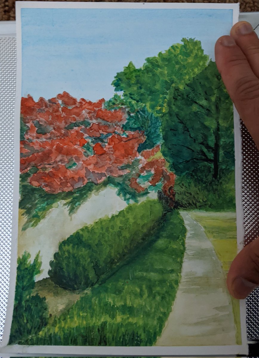 Almost done - bougainvillea #watercolorpainting