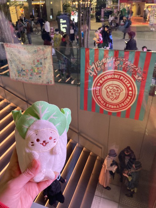 初めてのバンもんちゃんワンマン🥳めっちゃくちゃ楽しかった(^ ̥> ̫ < ̥^)❗️2時間あっという間すぎた！もっと聴きたかった〜😂 汐りんちゃんはちゃめちゃに可愛かった😍❤️大桃子さんのダンス凄かったなぁしびれた🥹また絶対バンもんちゃん行くぞ〜⸜(*ˊᗜˋ*)⸝❗️ <a href="/tag/%E3%83%90%E3%83%B3%E3%82%82%E3%82%93%E3%83%94%E3%82%B6%E3%83%84%E3%82%A2%E3%83%BC%E6%9D%B1%E4%BA%AC"class="tags"><span>#バンもんピザツアー東京</span></a><a href="/tag/%E3%83%90%E3%83%B3%E3%82%82%E3%82%93"class="tags"><span>#バンもん</span></a>