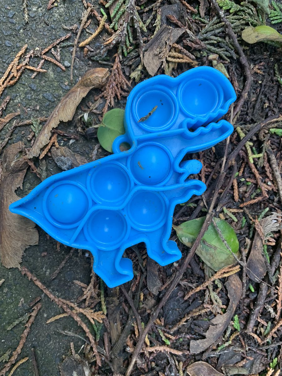 jaq421's tweet image. Odd finds today a 🦕 @WebbyJamesHere  and possibly Lego @LegoLostAtSea  a beautiful slipper and a crab nothing to enter for #strangestfinds but funny ones @CornishSpliced