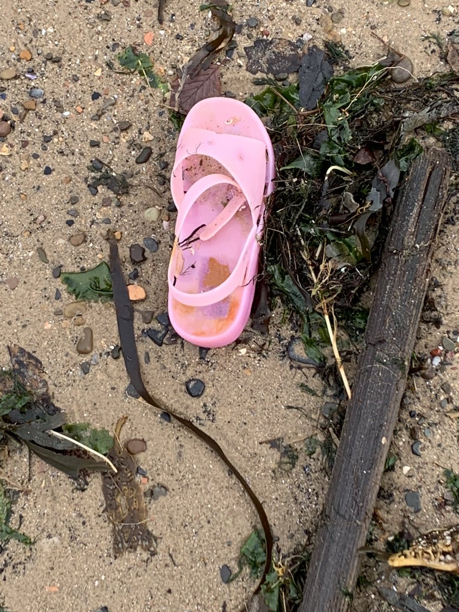 jaq421's tweet image. Odd finds today a 🦕 @WebbyJamesHere  and possibly Lego @LegoLostAtSea  a beautiful slipper and a crab nothing to enter for #strangestfinds but funny ones @CornishSpliced