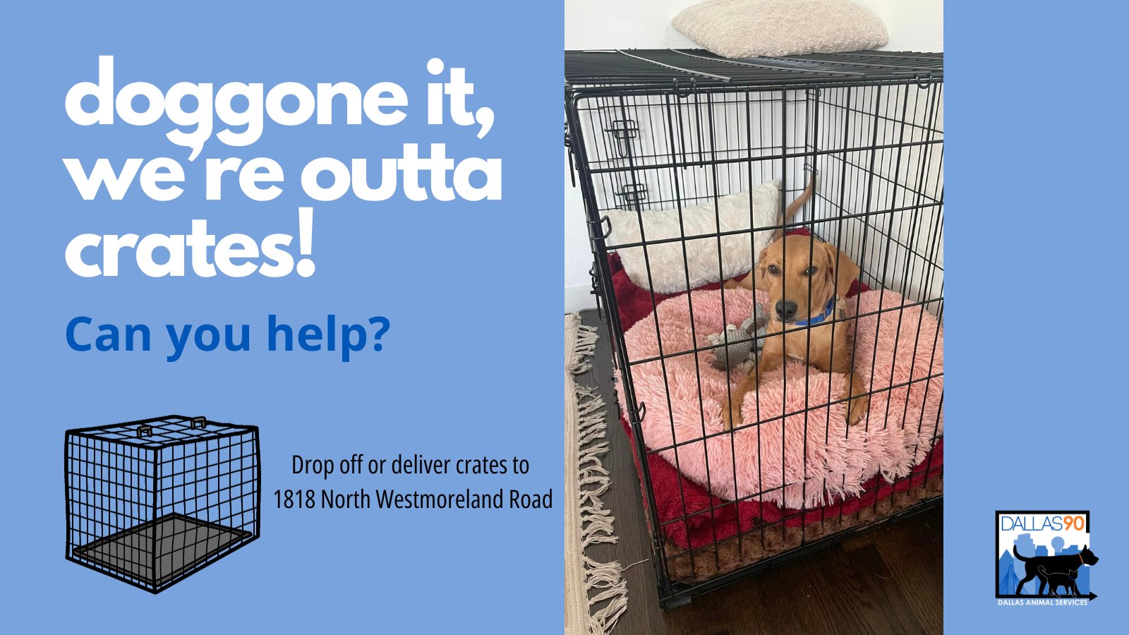 Dog pound cheap on westmoreland