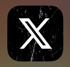 kithrat's tweet photo. @BOOMERANG_117 @thevoyager_ meanwhile us auto-updaters are stuck with 𝕏 with bird shit on it 😭 https://t.co/XidfqOngX6