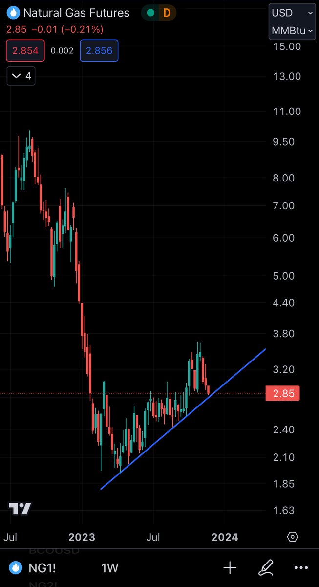 TheHappyHawaiian tweet media