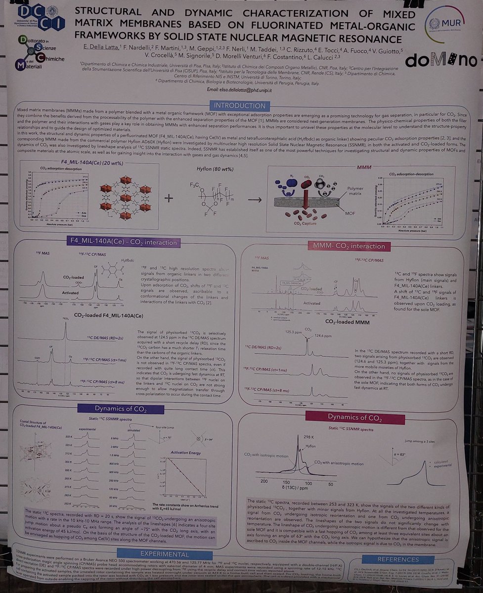 PRIN_doMino tweet media