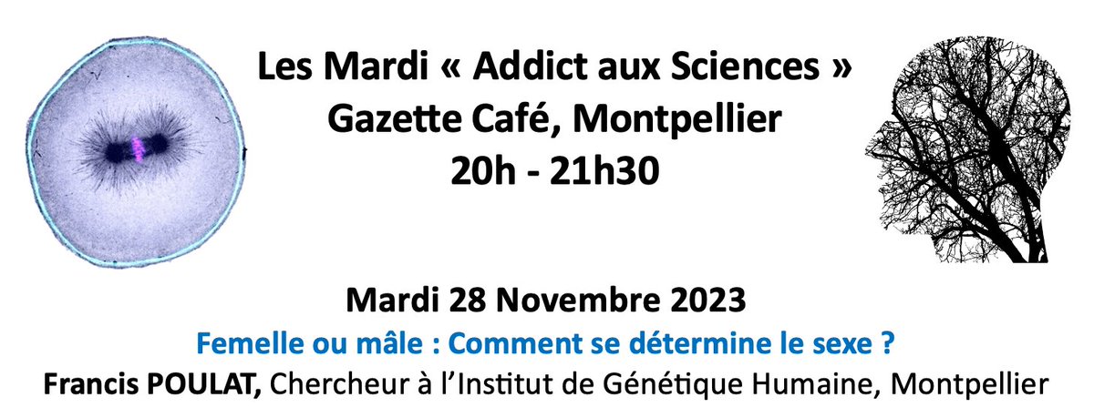 Ne ratez pas la 2ème conf' des 'addicts aux Sciences' Mardi prochain au #GazetteCafé à 20h sur la détermination du sexe racontée par Francis POULAT.