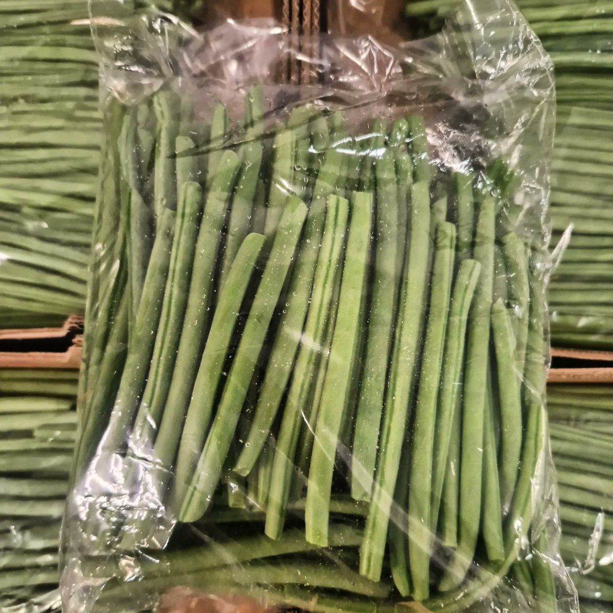 Planetproduce's tweet photo. Check out how fine our Moroccan fine beans are. They are sure to turn heads. We have loose, top and tail and pre-pack beans available. Get in touch with your sales rep today!
#morroco #moroccanproduce #finebean #prepackedbean #topandtailbeans #planetproduce #exoticproduce https://t.co/3d7LU6uizP