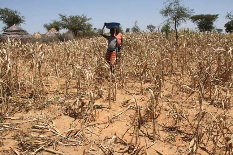 edwinNamakanga's tweet photo. Grassroots women are hit hard by climate change, affecting their food supply and raising prices. They need support! https://t.co/Ad8r5cim17