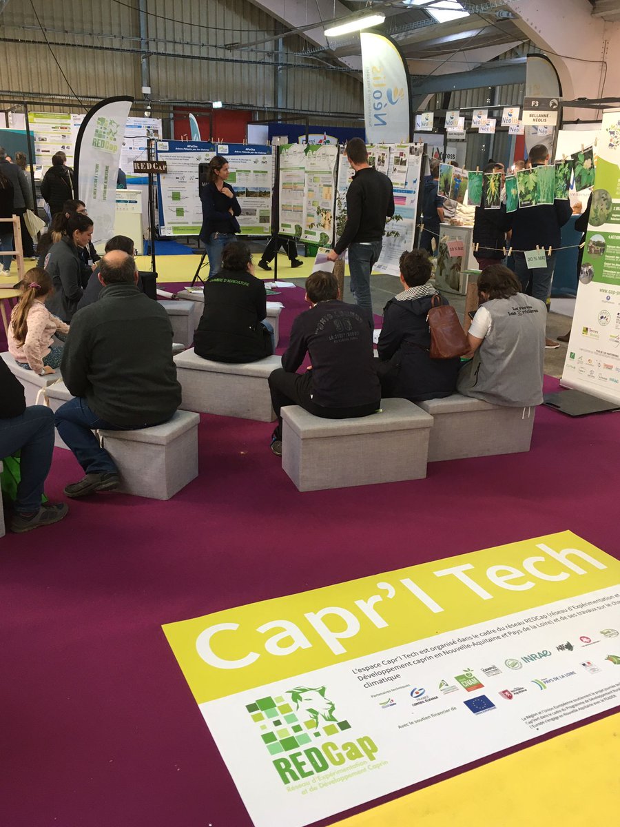 InstitutElevage's tweet image. 🔴 #Caprinov 2023 | Sur l'espace Capr'I Tech
Ateliers en cours :
👉 Reproduction #caprine 🐐 : rester « hot » même quand il fait très chaud 🌡
👉 Pic de chaleur en #chèvrerie : adapté les bâtiments ☀
👉 Ressource ligneuse 🌳 = solution pour nourrir les 🐐 &amp;amp; stocker du carbone