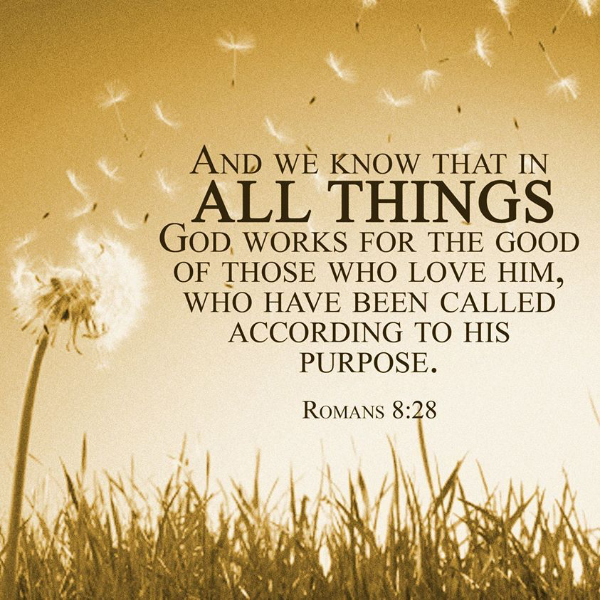 bbbthatsright's tweet image. Choosing The Right Thoughts:

servantofyeshua7.weebly.com/yahweh-yeshua-…

#BeTransformed #MindofChrist