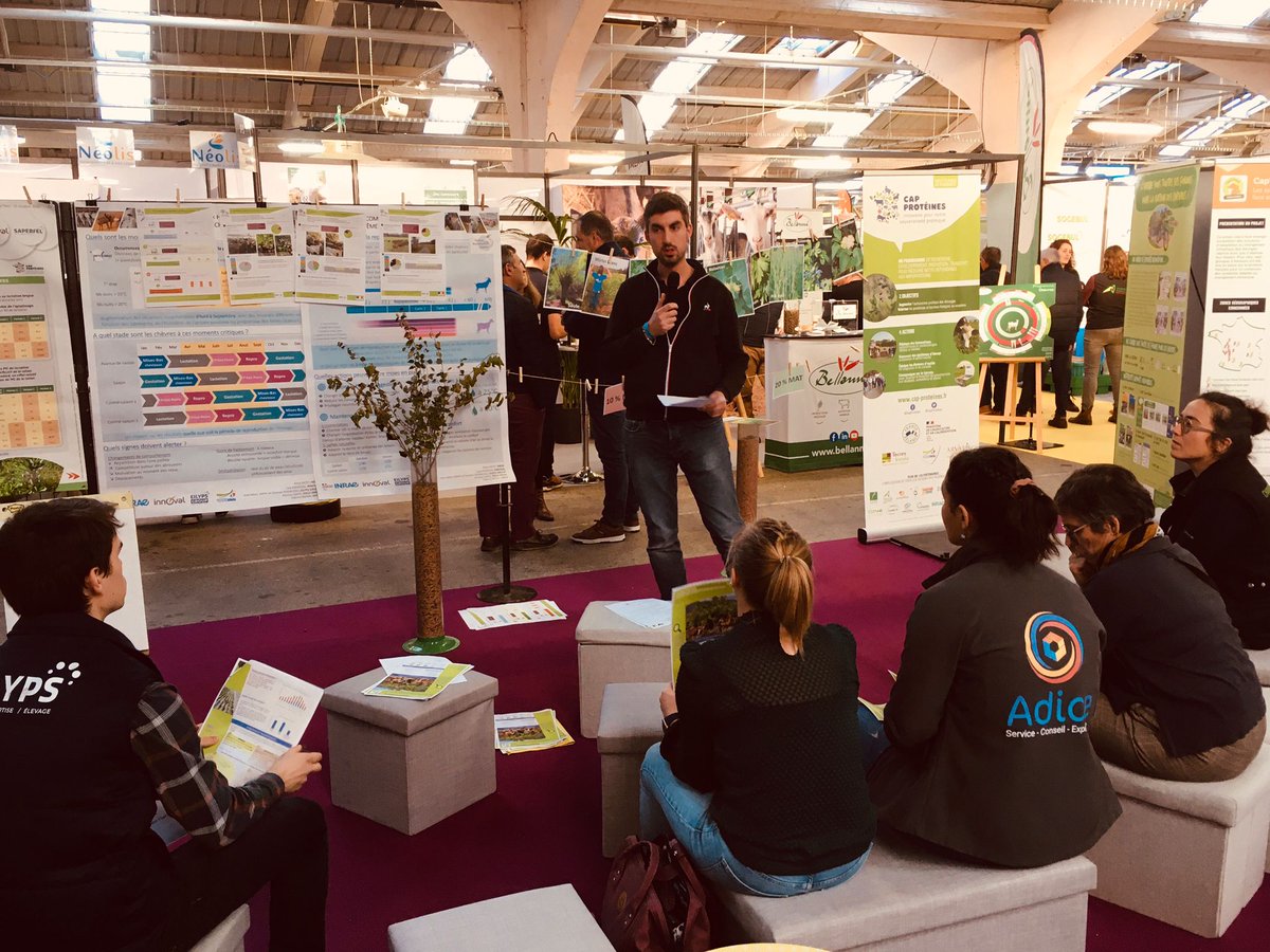 InstitutElevage's tweet image. 🔴 #Caprinov 2023 | Sur l'espace Capr'I Tech
Ateliers en cours :
👉 Reproduction #caprine 🐐 : rester « hot » même quand il fait très chaud 🌡
👉 Pic de chaleur en #chèvrerie : adapté les bâtiments ☀
👉 Ressource ligneuse 🌳 = solution pour nourrir les 🐐 &amp;amp; stocker du carbone