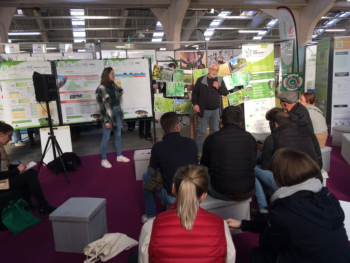 InstitutElevage's tweet image. 🔴 #Caprinov 2023 | Sur l'espace Capr'I Tech
Ateliers en cours :
👉 Reproduction #caprine 🐐 : rester « hot » même quand il fait très chaud 🌡
👉 Pic de chaleur en #chèvrerie : adapté les bâtiments ☀
👉 Ressource ligneuse 🌳 = solution pour nourrir les 🐐 &amp;amp; stocker du carbone