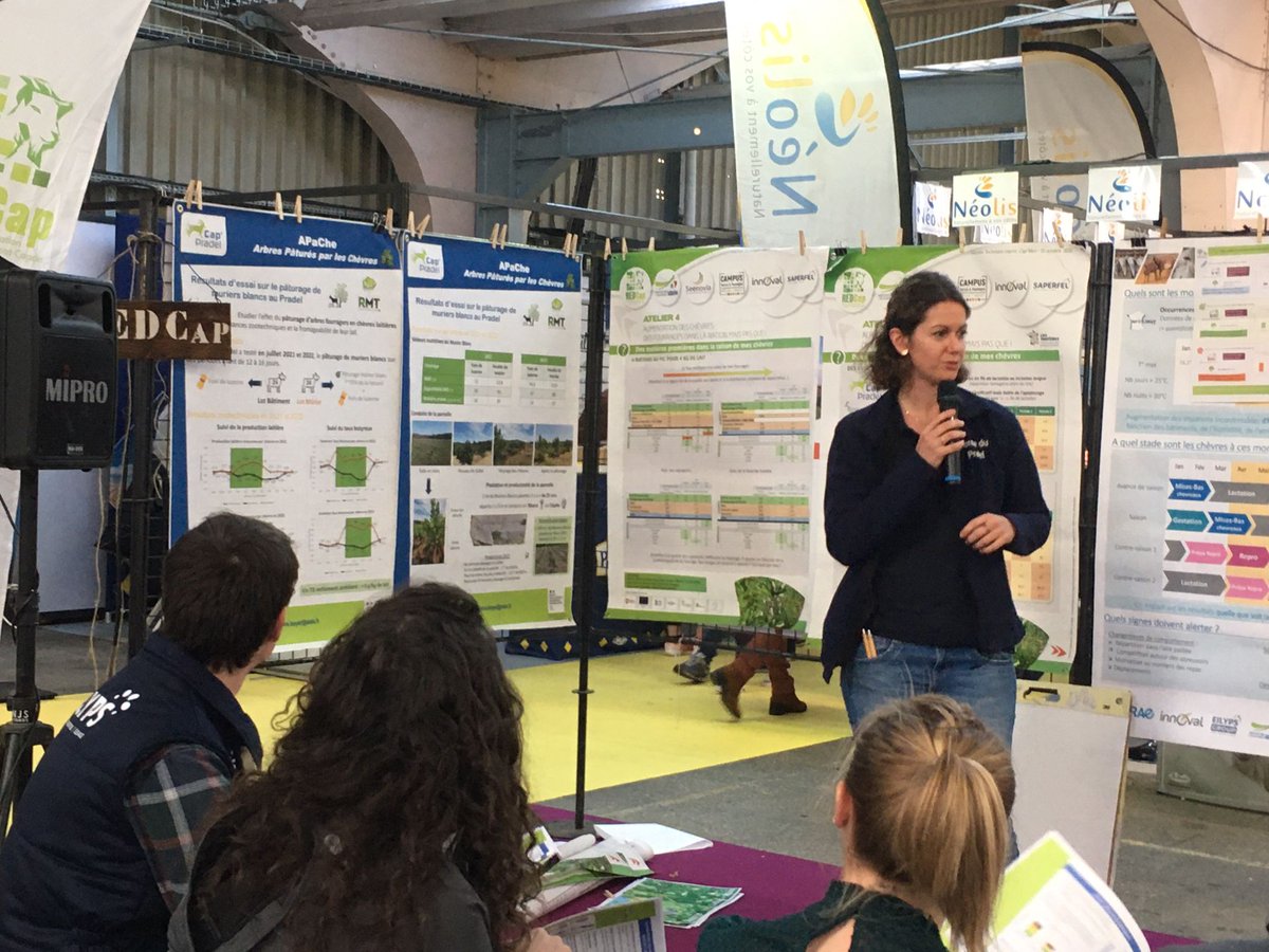 InstitutElevage's tweet image. 🔴 #Caprinov 2023 | Sur l'espace Capr'I Tech
Ateliers en cours :
👉 Reproduction #caprine 🐐 : rester « hot » même quand il fait très chaud 🌡
👉 Pic de chaleur en #chèvrerie : adapté les bâtiments ☀
👉 Ressource ligneuse 🌳 = solution pour nourrir les 🐐 &amp;amp; stocker du carbone