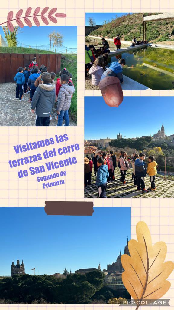2º de Primaria conoce y disfruta de las terrazas del Cerro de San Vicente. #salamanca #yosoydelmachado