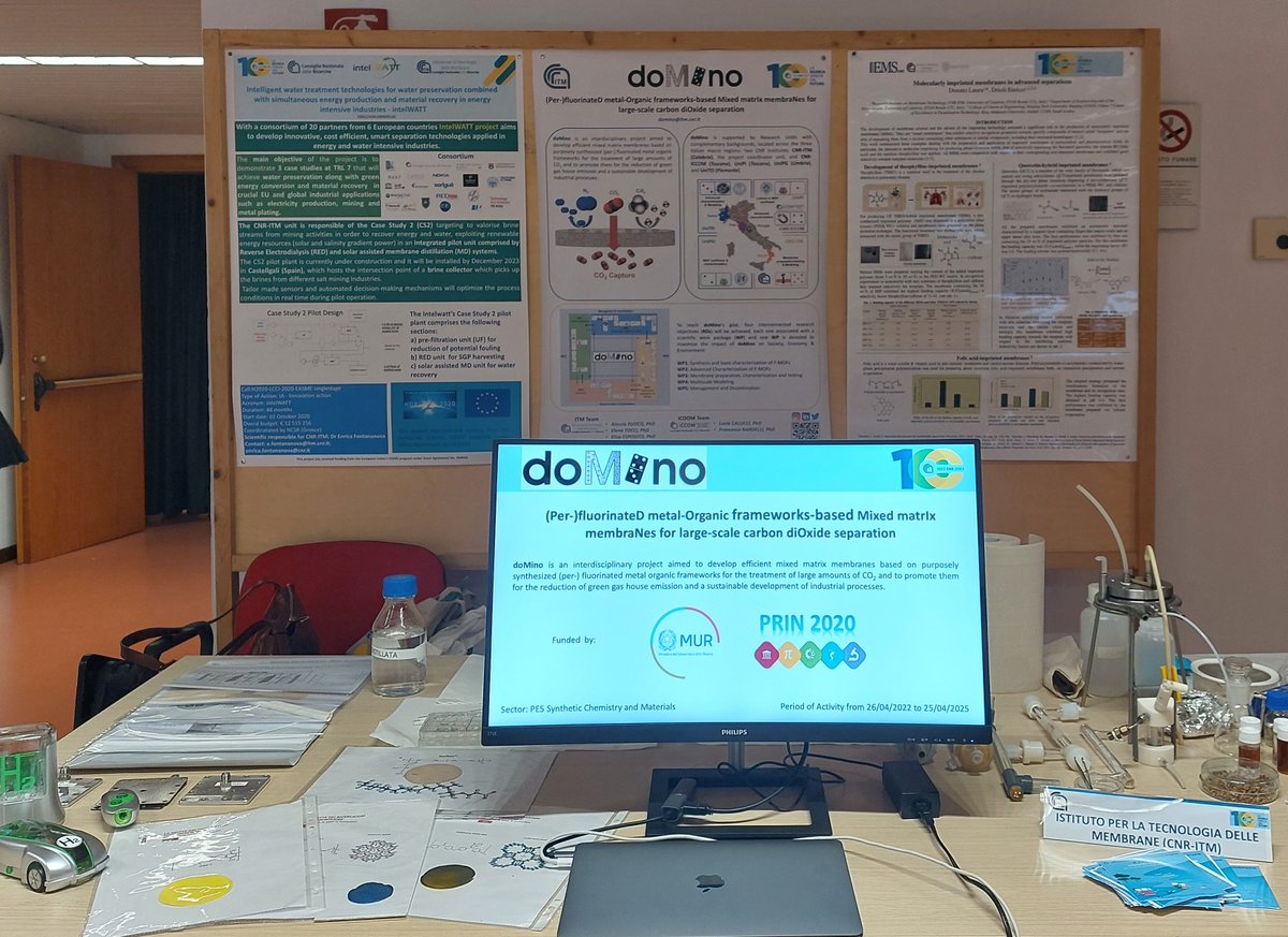 PRIN_doMino tweet media