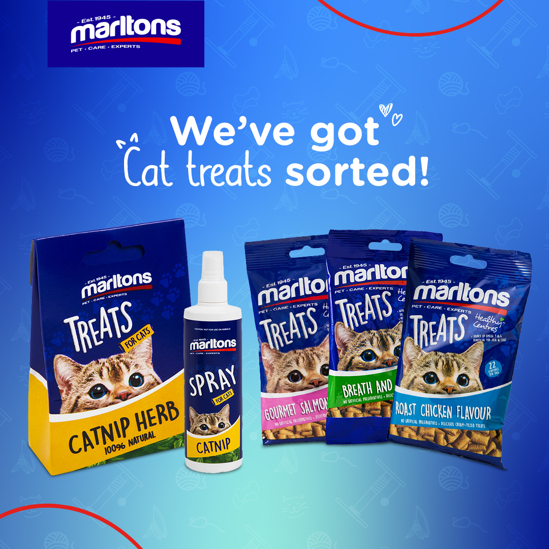 Marltons' range of cat treats is designed to delight and strengthen the special bond between you and your kitty. 

Show your cat that you care with Marltons Cat treats - because they deserve the best. ❤🐈

#Marltonsforcats #cattreats