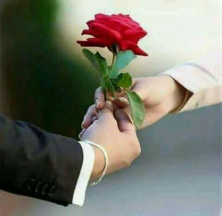How beautiful 😍 ❤ ♥