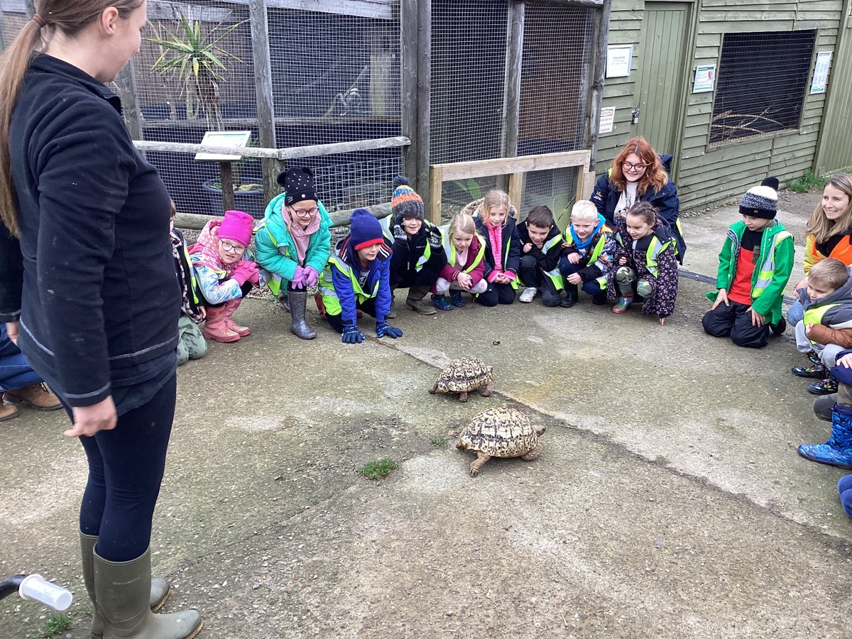 KatieManoy tweet media