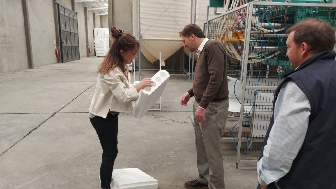 Secretaría de Producción e Industria tweet media