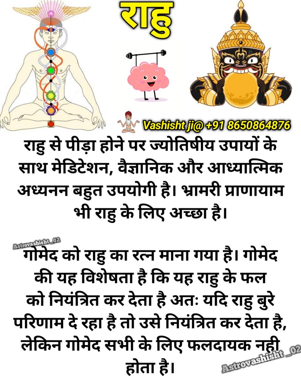 When suffering from Rahu's influence, meditation and scientific-spiritual studies can be helpful. Bhramari Pranayama is also good for Rahu.

Gomed is controlling Rahu's effects. It's beneficial if Rahu is causing negative results, but Gomed isn't fruitful for everyone.