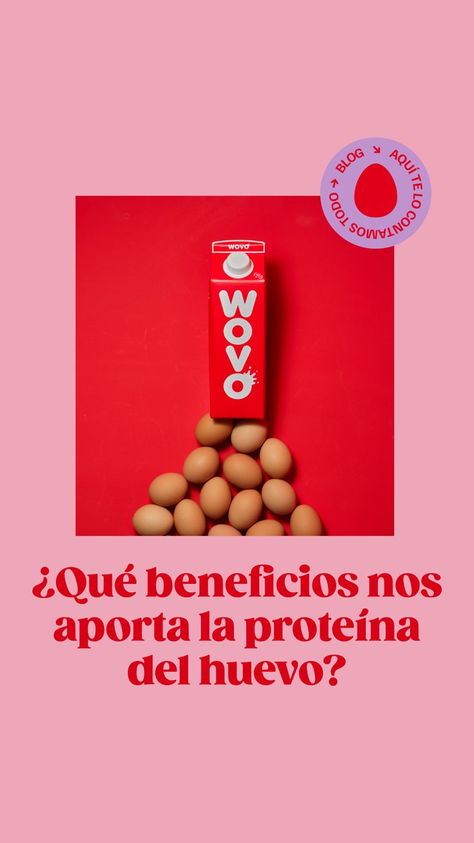 ¿Qué beneficios nos aporta la proteína del huevo?
wovorevolution.com/beneficios-pro…
#Wovo #Wovorevolution #proteína #proteínadehuevo #dietaprotéica #músculo